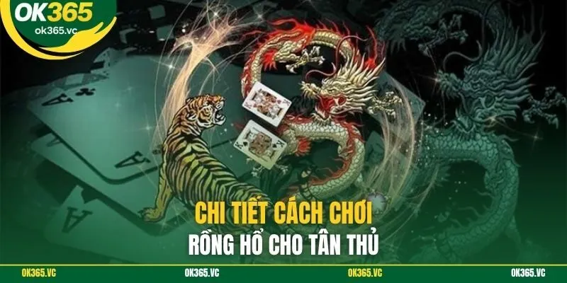Chi tiết cách chơi rồng hổ cho tân thủ