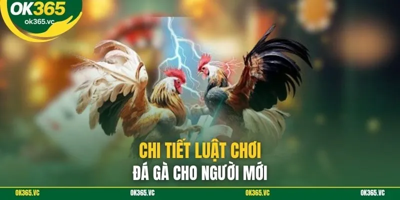 Chi tiết luật chơi đá gà cho người mới