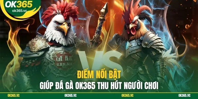 Điểm nổi bật giúp đá gà OK365 thu hút người chơi