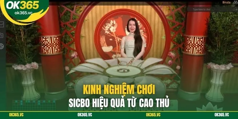 Kinh nghiệm chơi sicbo hiệu quả từ cao thủ