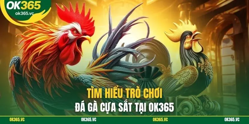 Tìm hiểu trò chơi đá gà cựa sắt tại Ok365