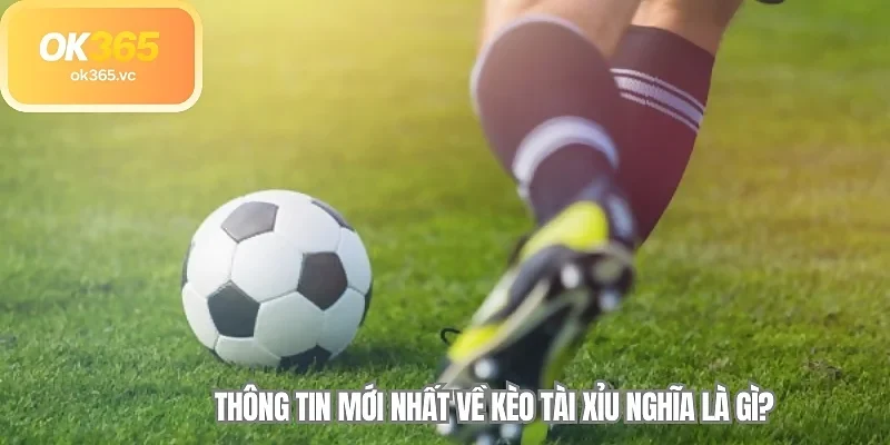 Thông tin mới nhất về kèo tài xỉu nghĩa là gì?